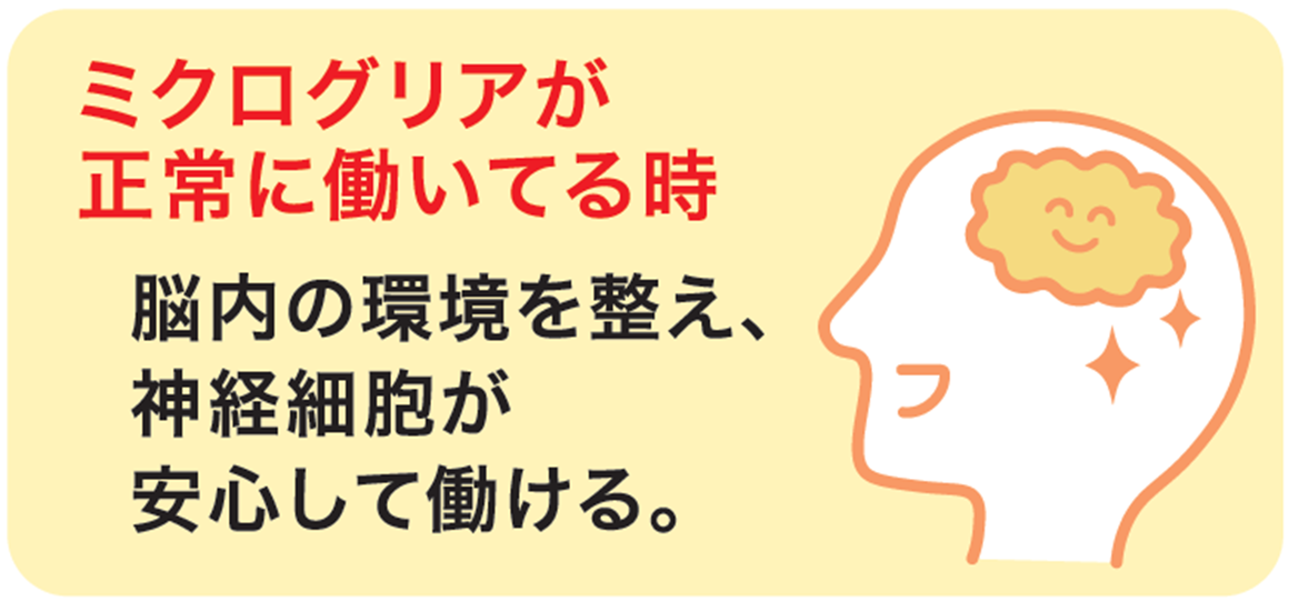 ミクログリアが正常に働くと、脳内の環境を整え、神経細胞が安心して働ける