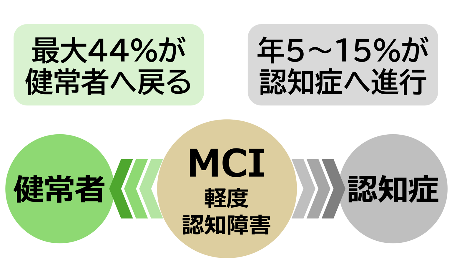 健常者、軽度認知障害（MCI）、認知症の関係を示す図。MCIは対策すると回復できる可能性があり、放置すると認知症へ進行する可能性があることを示しています。